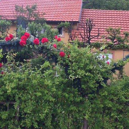 Apartman Lili Cetinje Kültér fotó