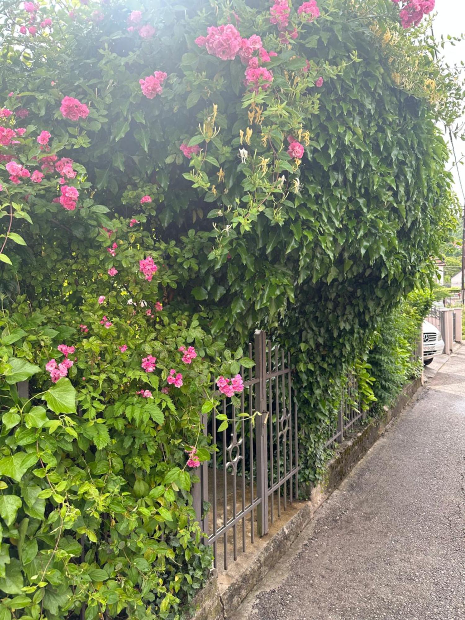 Apartman Lili Cetinje Kültér fotó