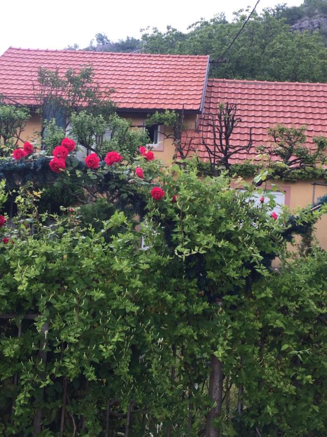 Apartman Lili Cetinje Kültér fotó